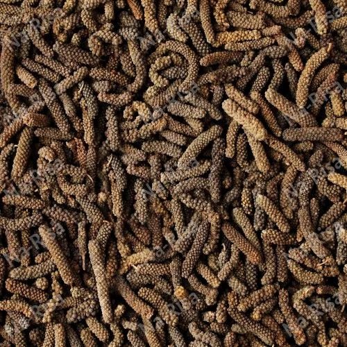 organic-long-pepper-500x500 (1)-331180-25393.jpg